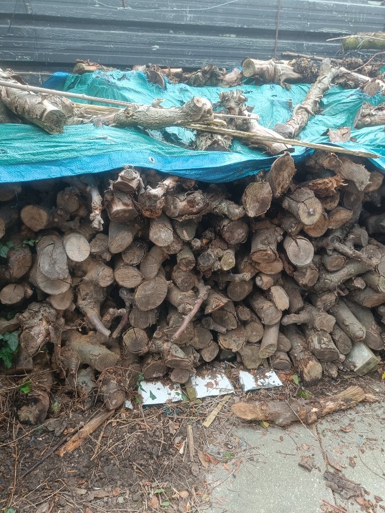 Bois fruitier sec (séché pendant 3 ans), 3 à 6 m³, Enlèvement, Autres essences de bois, Bûches