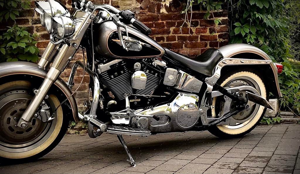 Harley fat boy 1340, Particulier