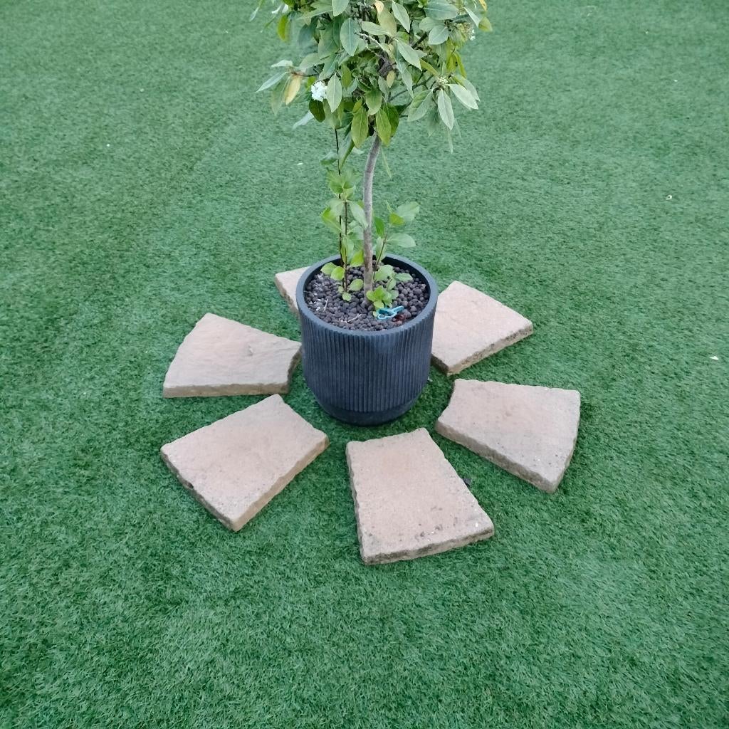 margelle, Jardin & Terrasse, Enlèvement, Utilisé, Béton, Autres types