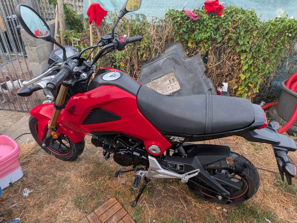 À vendre Honda MSX 125 de 2013, Motos, Motos | Honda, Occasion, Permis Moto A1 minimum, Particulier, 1 cylindre