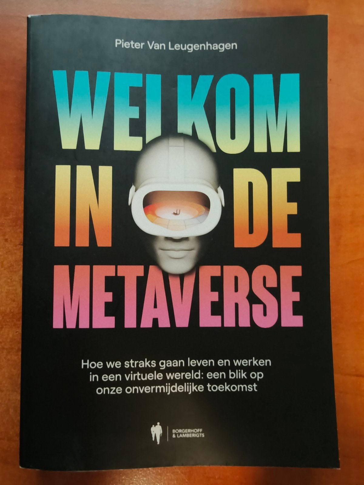 Pieter Van Leugenhagen - Welkom in de metaverse, Livres, Enlèvement ou Envoi, Pieter Van Leugenhagen