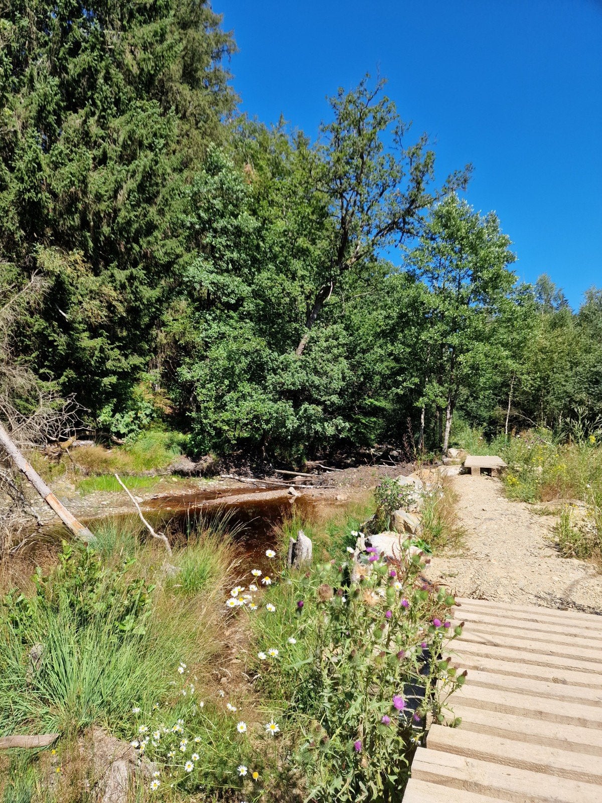 Kempen, Gezocht: Recreatiegrond, chalet of weekendverblijf, Immo