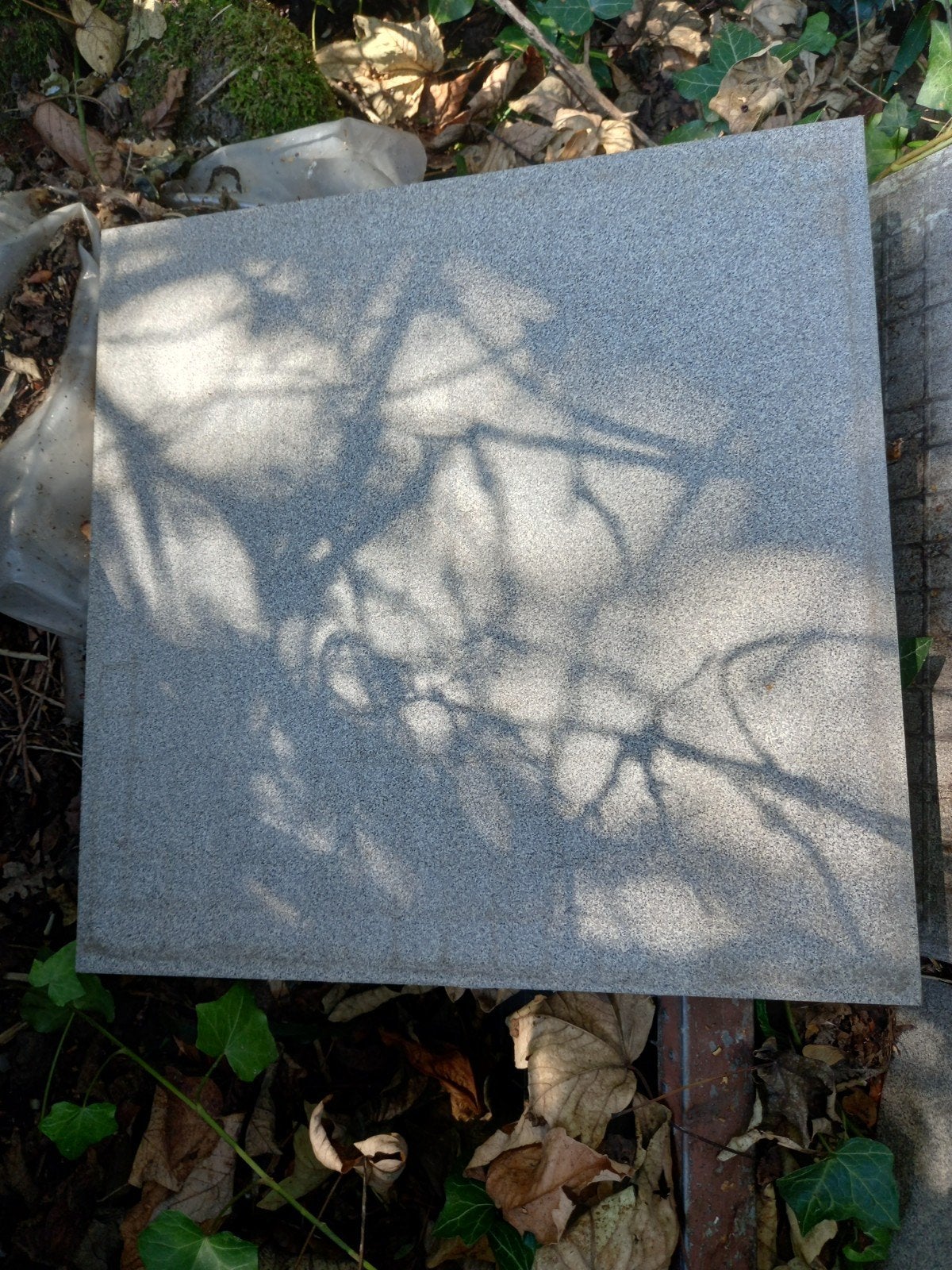 Carreaux de céramique., Enlèvement