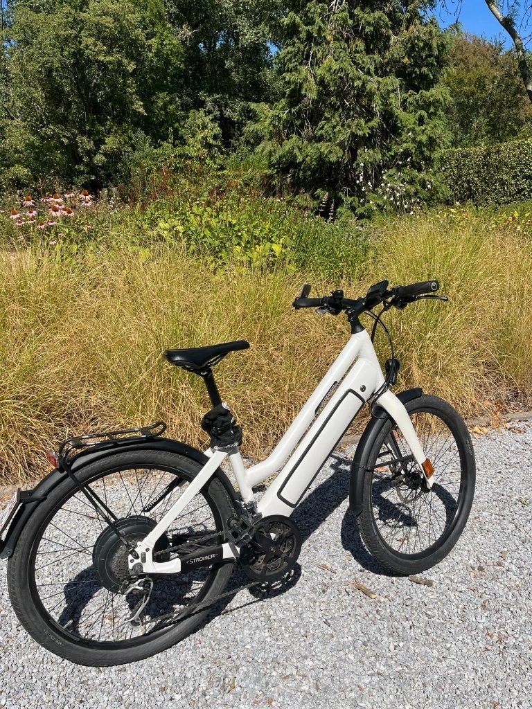 SPEED PEDELEC | Stromer ST1, Vélos & Vélomoteurs, Vélos électriques, Enlèvement, Comme neuf, Stromer