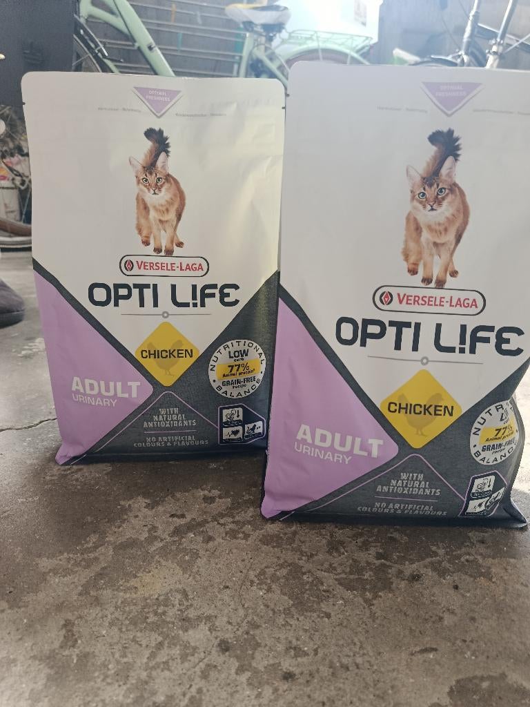 Kattenvoer, Dieren en Toebehoren, Ophalen, Kat