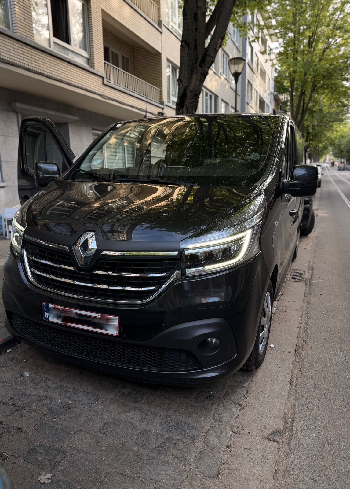Renault Trafic, Autos, Renault, Particulier, Enlèvement