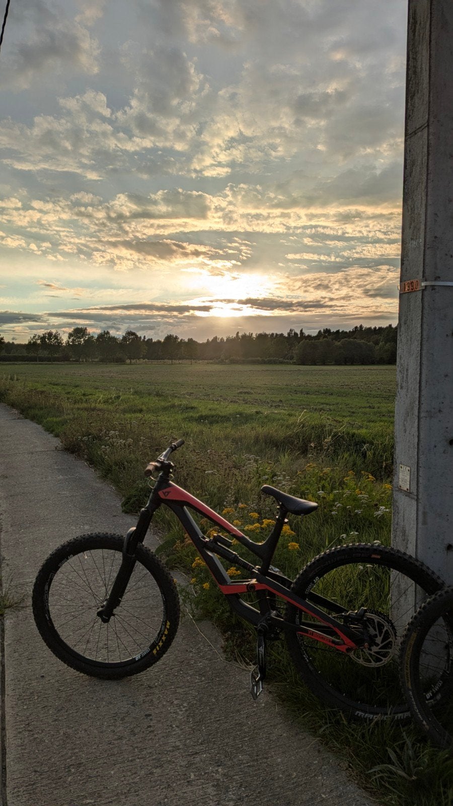 yt capra MOET WEG!, Vélos & Vélomoteurs, Enlèvement