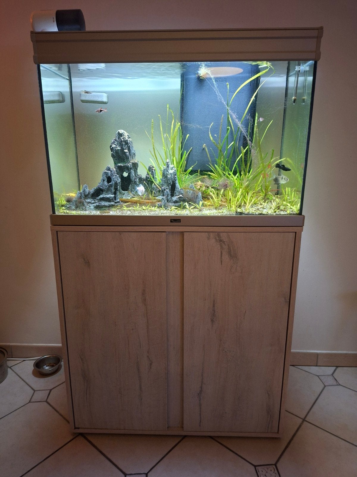 aquarium 80x50x40 met bijhorende kast, Dieren en Toebehoren, Vissen | Aquaria en Toebehoren, Ophalen