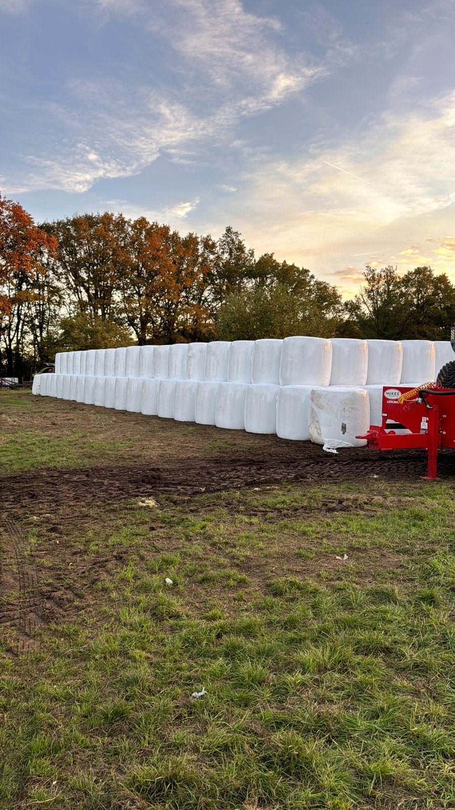 Maisbalen oogst 2026, Dieren en Toebehoren, Ophalen