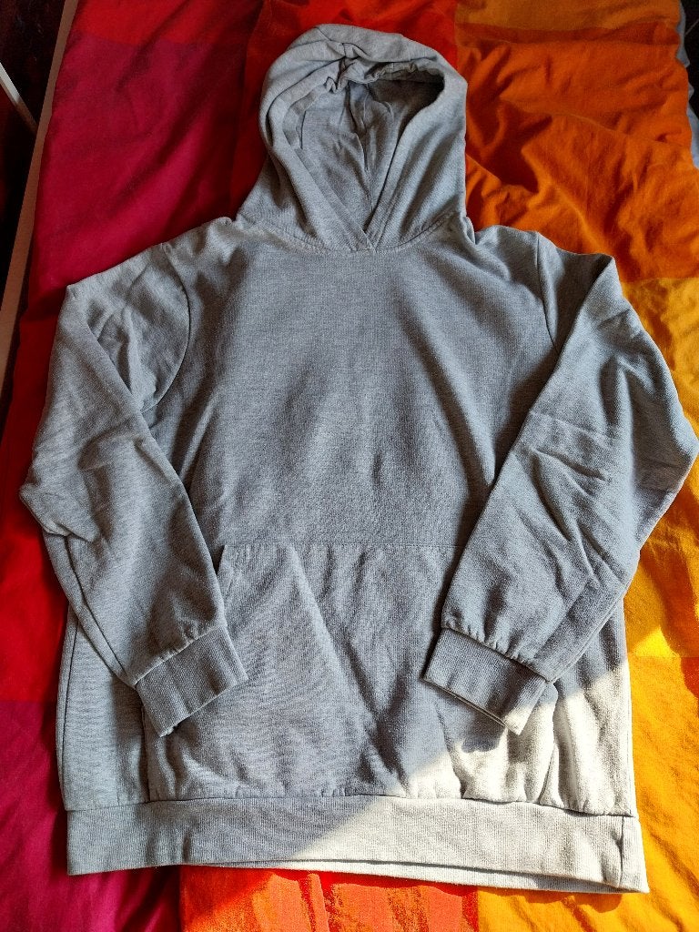 Grijze trui met kap XL, Vêtements | Hommes, Pulls & Vestes, Enlèvement, Gris