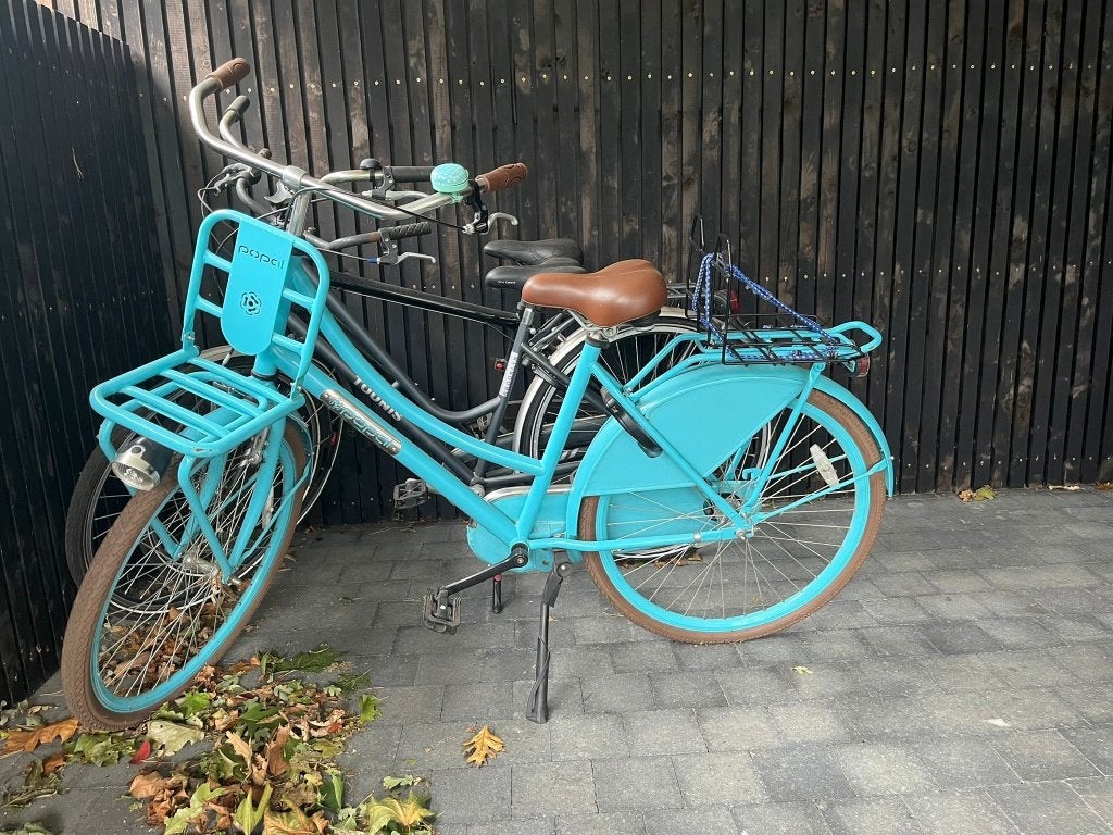 Fiets, Autres marques, Frein à rétropédalage, Enlèvement, 47 à 50 cm