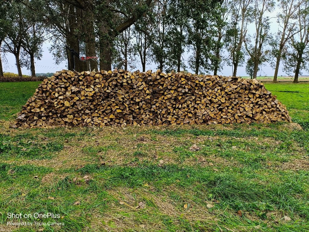 bois de chauffage, 6 m³ ou plus, Enlèvement, Autres essences de bois, Bûches