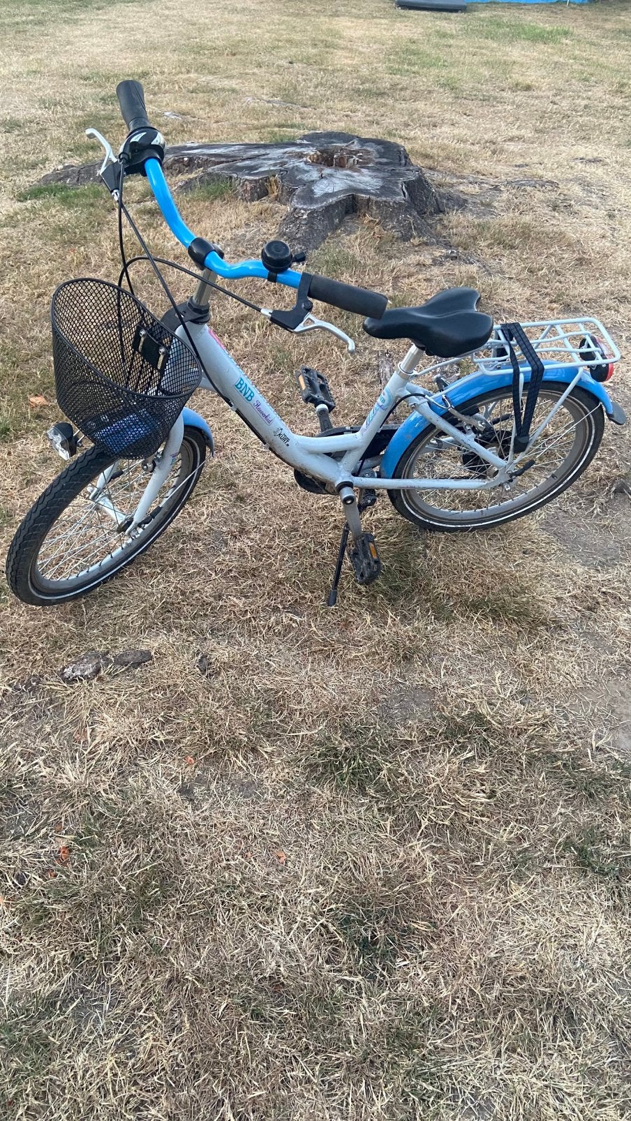 Kinderfiets 20 inch, Ophalen, Zo goed als nieuw