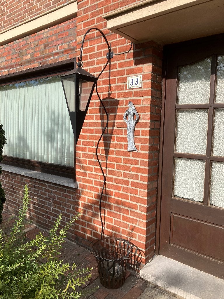 Muurlamp, Ophalen, Staal, Overige typen, Netvoeding