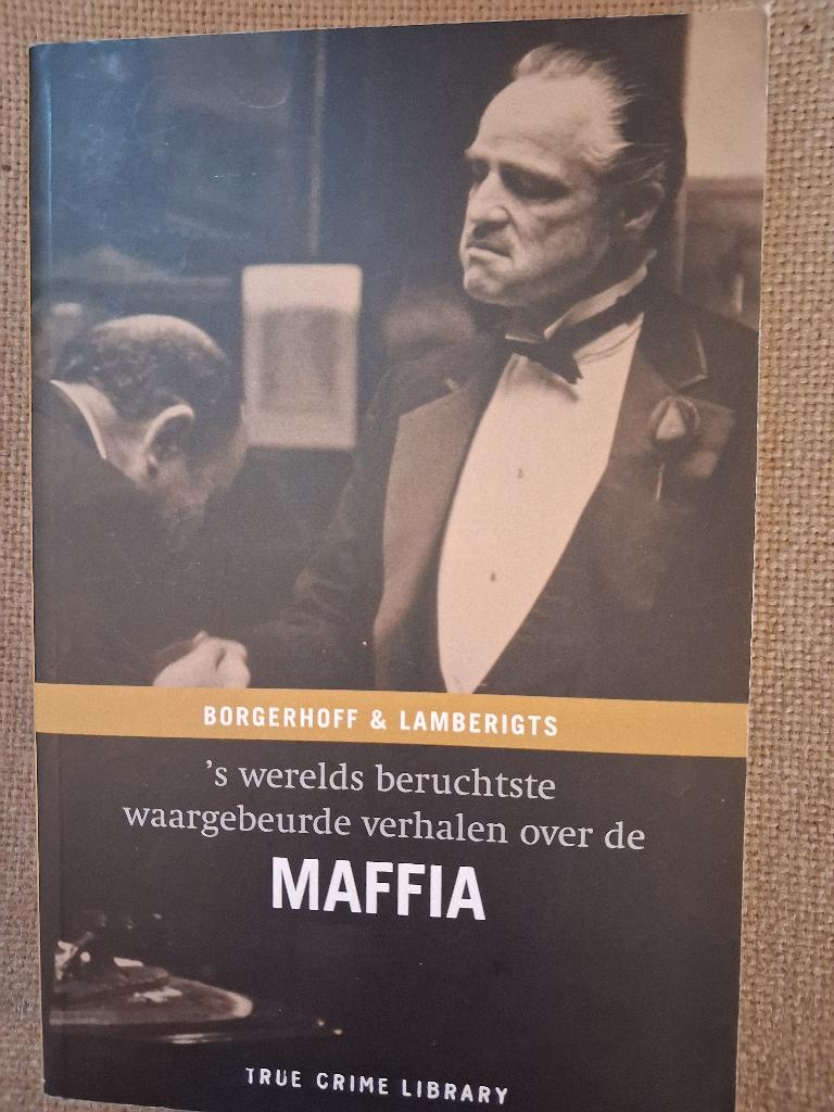 WAARGEBEURDE VERHALEN OVER DE MAFFIA, Ophalen of Verzenden, Maatschappij en Samenleving