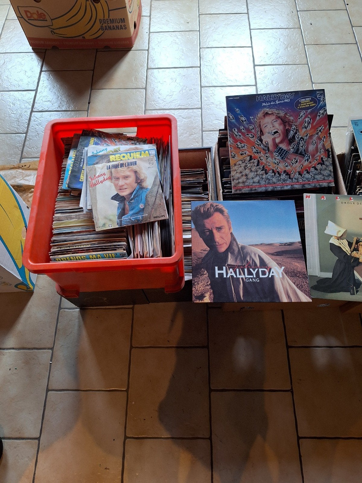 Lot exceptionnel 420 disques vinyles - Johnny Hallydayimmens, Ophalen