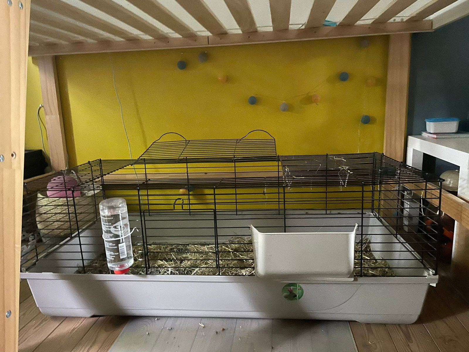 Caviahok voor 2 cavia’s. L 120 cm, H 42 cm, D 58 cm, Dieren en Toebehoren, Ophalen, Zo goed als nieuw, Cavia