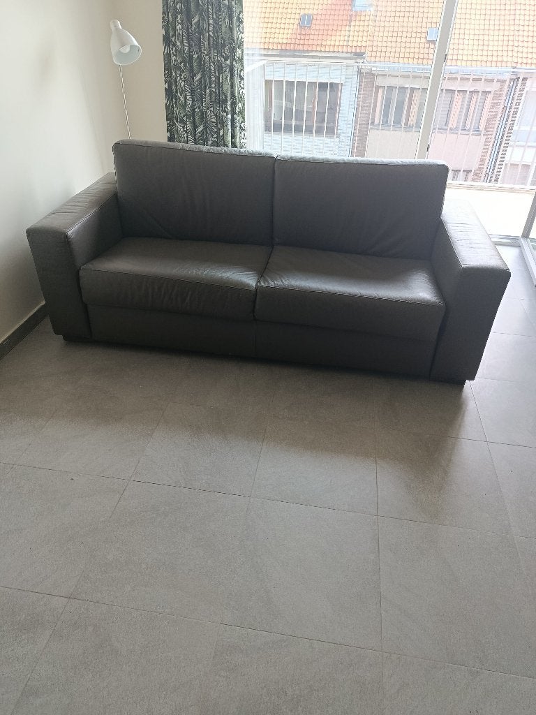 sofabed, Huis en Inrichting, Zetels | Zetels, Ophalen, Overige materialen, Overige maten, 150 tot 200 cm