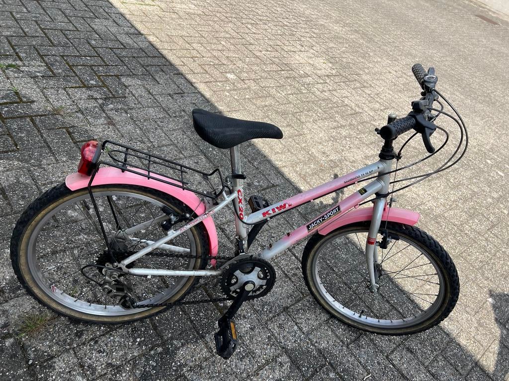 Kinderfiets voor meisjes, Ophalen, Gebruikt, Velgrem, 20 inch