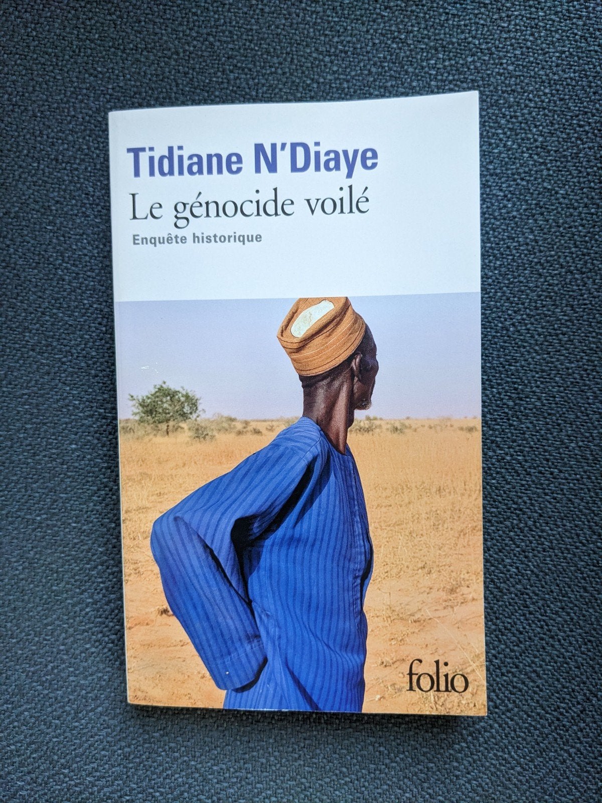 9782072718496, Livres, Art & Culture | Photographie & Design, Enlèvement, Neuf, Autres sujets/thèmes, Tidiane N'Diaye