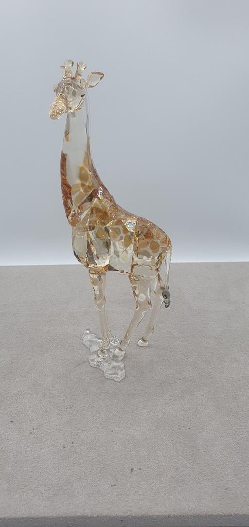 Swarovski SCS 2018 Giraf., Ophalen