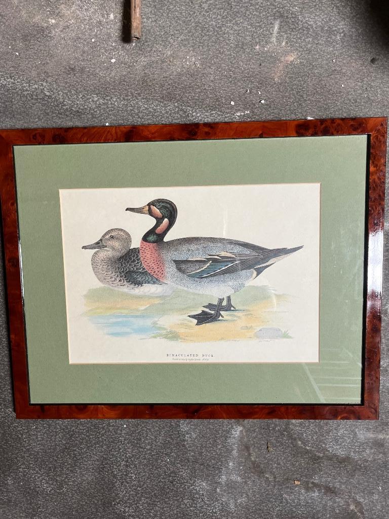 2 Cadres bois de noyer canards prix pour les deux, Enlèvement, Comme neuf, Bois