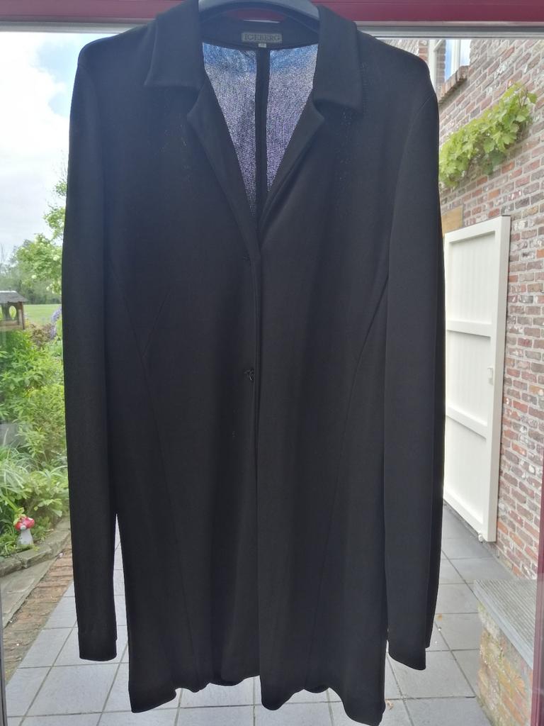 Zwarte blazer, Kleding | Dames, Blouses en Tunieken, Zo goed als nieuw, Ophalen