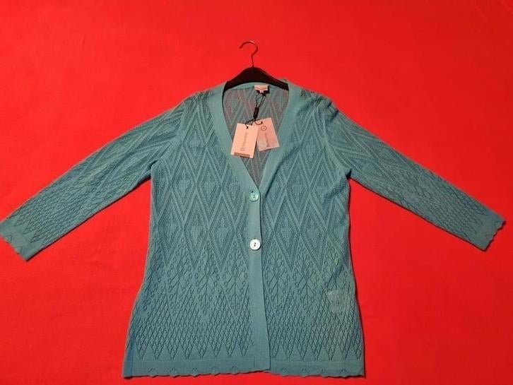 Cadeau Noël cardigan Mayerline NEUF L turquoise, Vêtements | Femmes, Pulls & Gilets, Enlèvement ou Envoi, Comme neuf