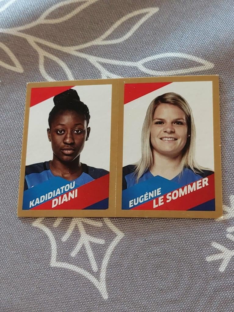 Panini / Sticker / FRANCE FFF, Verzamelen, Verzenden, Nieuw, Poster, Plaatje of Sticker
