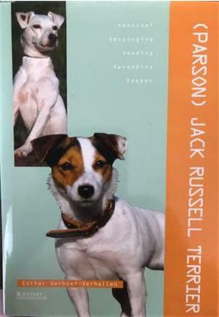 Jack Russell Terrier, Esther Verhoef, Enlèvement, Utilisé, Chiens