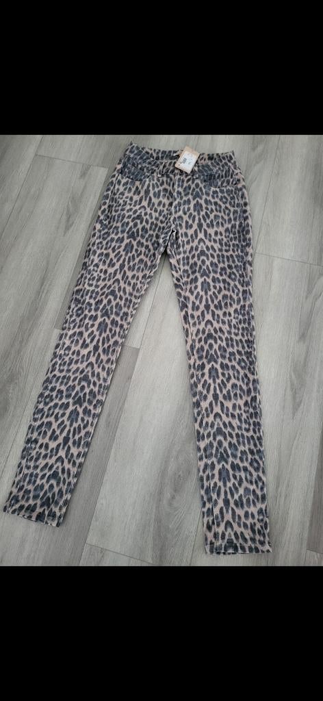 Esqualo 15€, Kleding | Dames, Ophalen of Verzenden, Maat 34 (XS) of kleiner, Nieuw, Esqualo