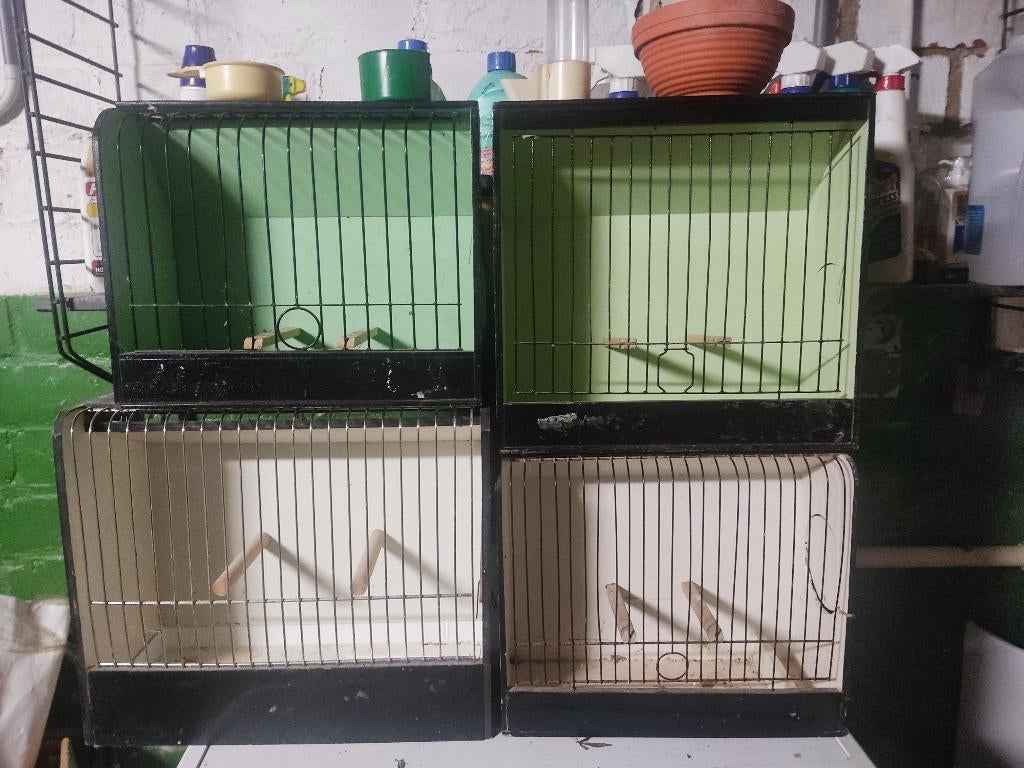 TT kooien te koop, Dieren en Toebehoren, Ophalen, Gebruikt, Hout, Vogelkooi