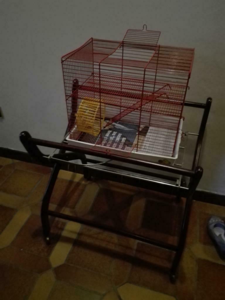 177) multifunctionele kooi  h = 34cm/ l = 37cm, Minder dan 60 cm, Kooi, Gebruikt, Minder dan 75 cm