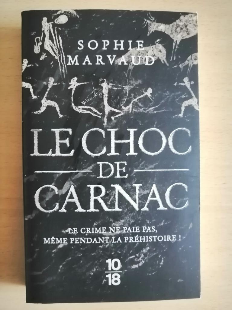 Le choc de Carnac de Sophie Marvaud, Enlèvement ou Envoi