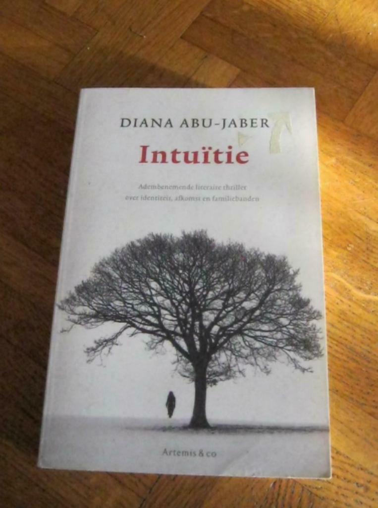 Diana Abu-Jaber: Intuïtie, Ophalen of Verzenden, Gelezen