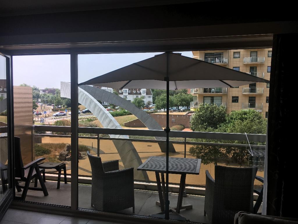 Zongerichte studio aan zee. PAASVAKANTIE NOG VRIJE PERIODES., Immo, 35 tot 50 m², Provincie West-Vlaanderen