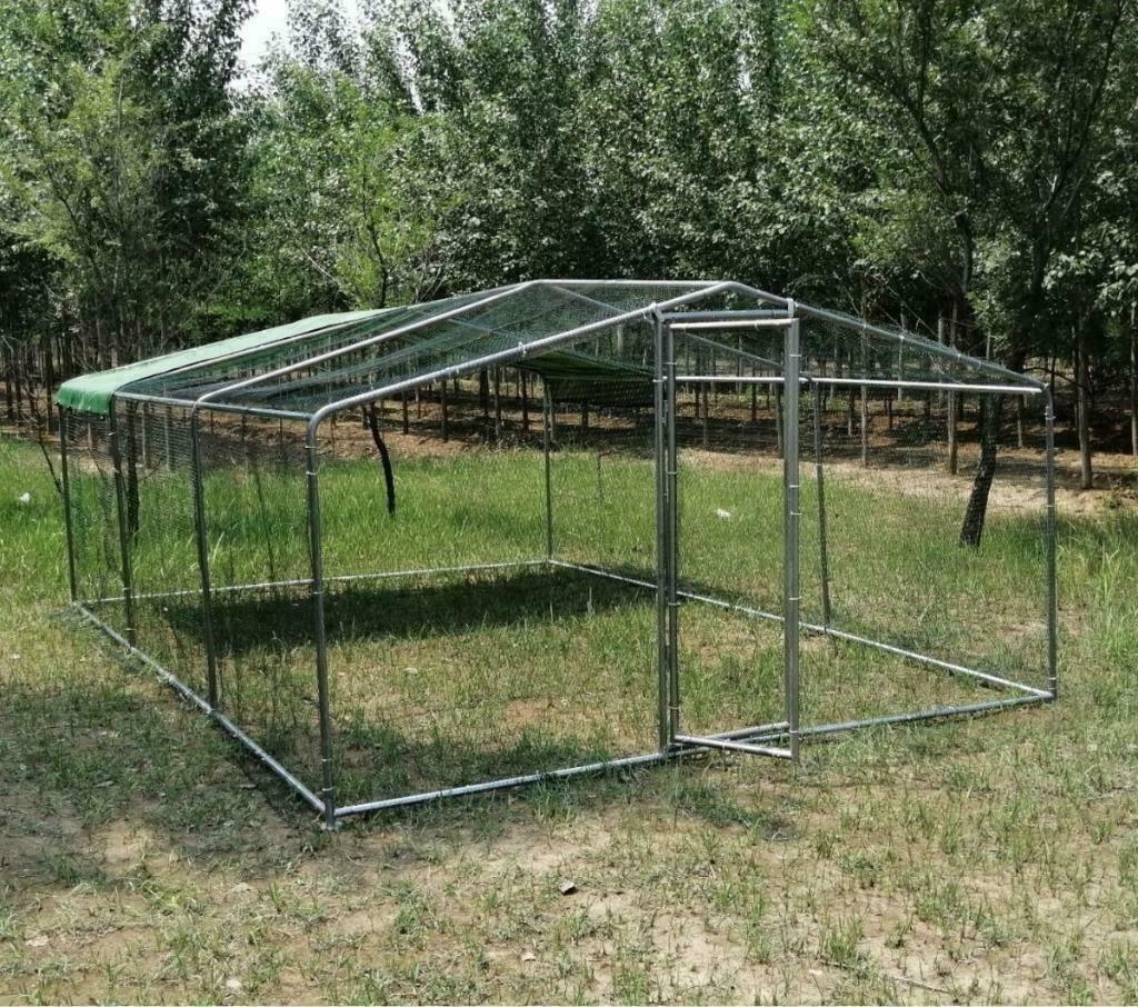 Poulailler 18m² enclos parc poule 6x3x2,25m chatiere voliere, Envoi, Neuf, Poulailler