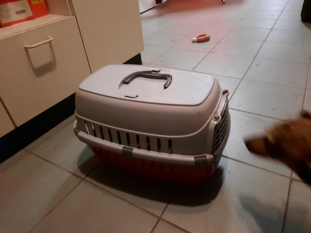 Katten bench, Dieren en Toebehoren, Ophalen, Zo goed als nieuw