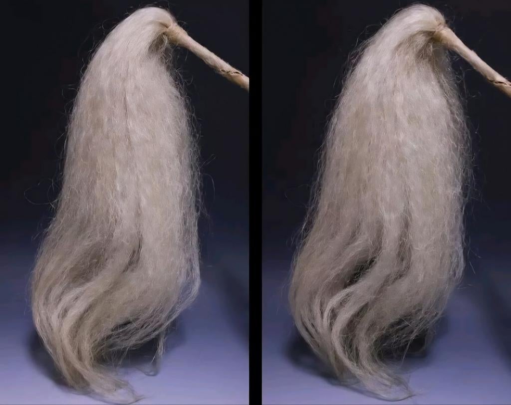 Saihai edo de Samourai, Collections