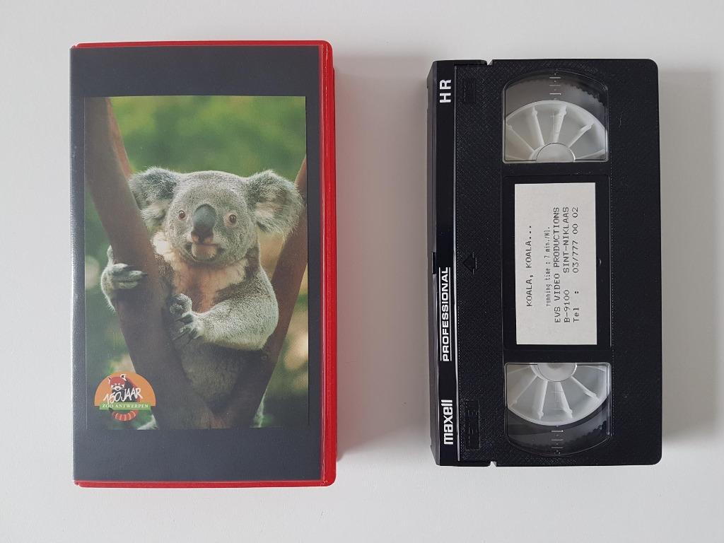 Koala video 150 jaar Zoo Antwerpen '93 + sticker + postkaart, Enlèvement