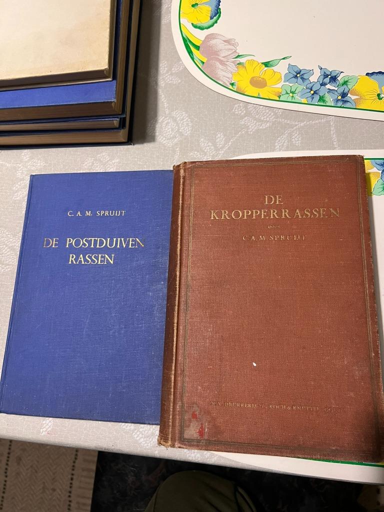 Duivensportboeken C.A.M. Spruijt: Practische Duiventeelt, Ra, Ophalen of Verzenden, Gelezen, Vogels, C.A.M. Spruijt