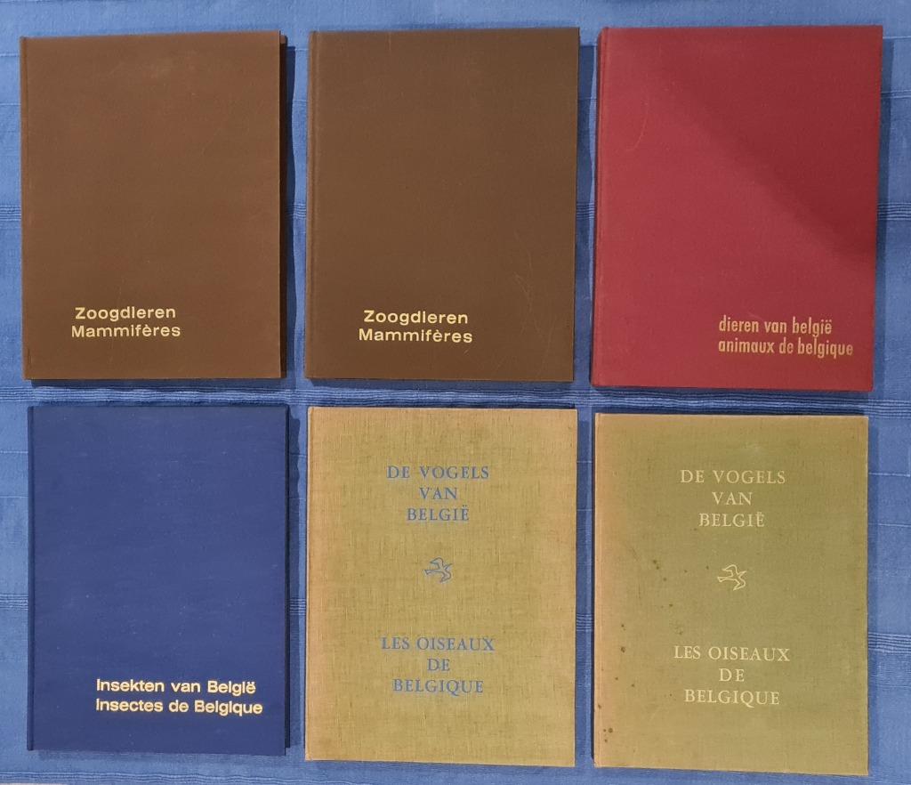 6 volledige, complete albums Fort Itegem, Boeken, Ophalen of Verzenden, Gelezen, Fort Itegem, Plaatjesalbum