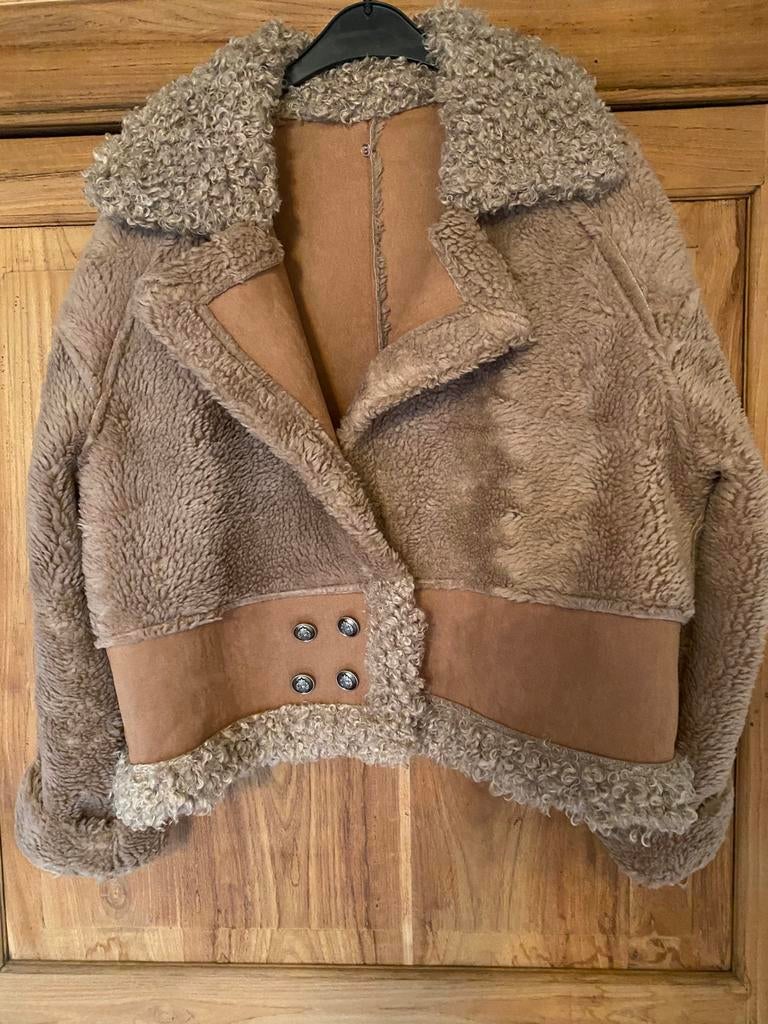 Kort dames jas met teddy, Kleding | Dames, Jassen | Winter, Ophalen, Nieuw, Maat 42/44 (L), Overige kleuren