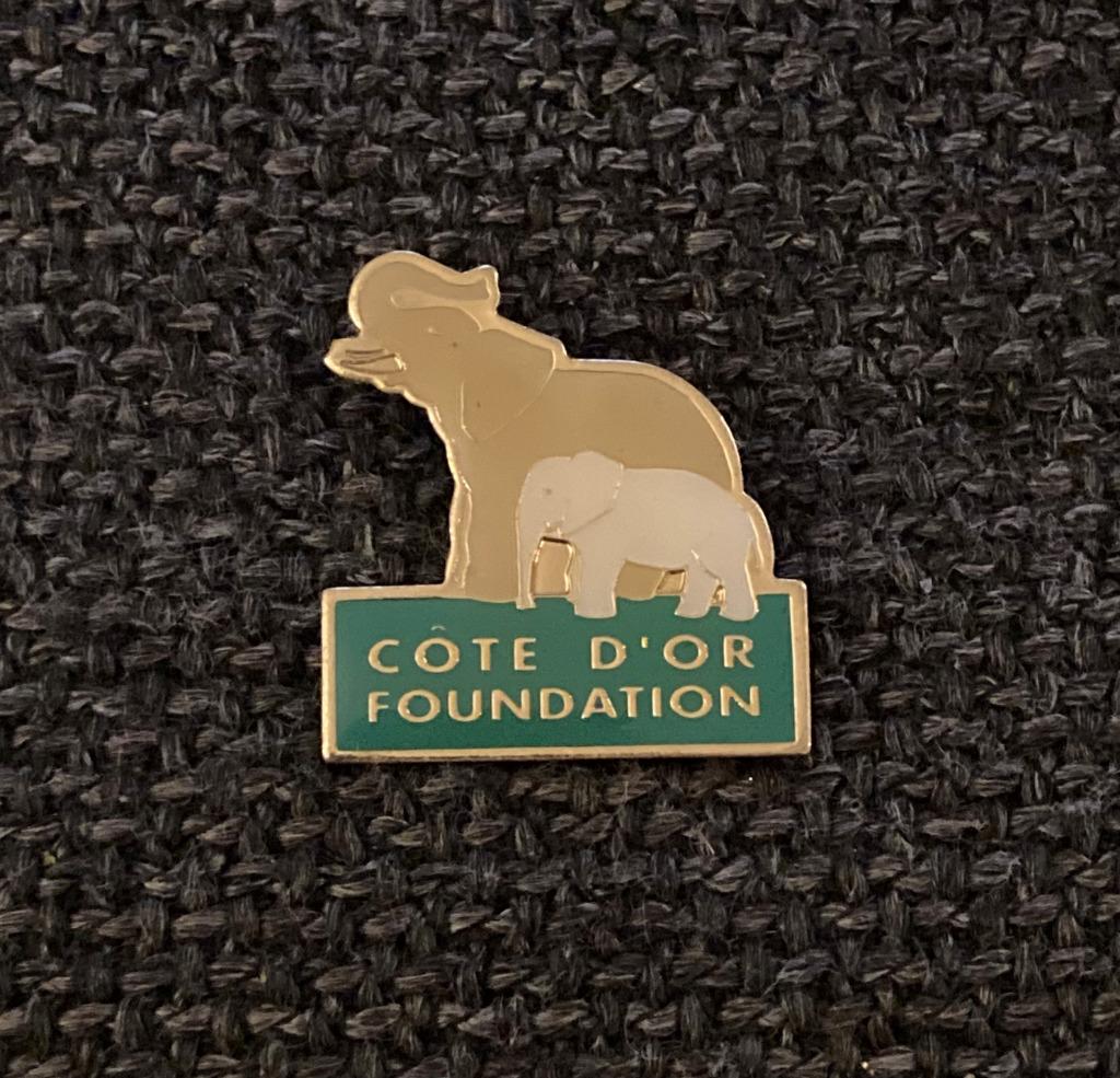 PIN - CÔTE D'OR FOUNDATION - CHOCOLADE - CHOCOLAT, Envoi, Utilisé, Marque, Insigne ou Pin's