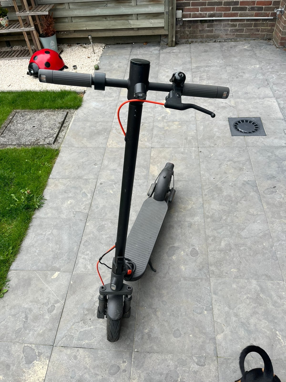 Elektrische step, Fietsen en Brommers, Steps, Ophalen, Gebruikt, Elektrische step (E-scooter)