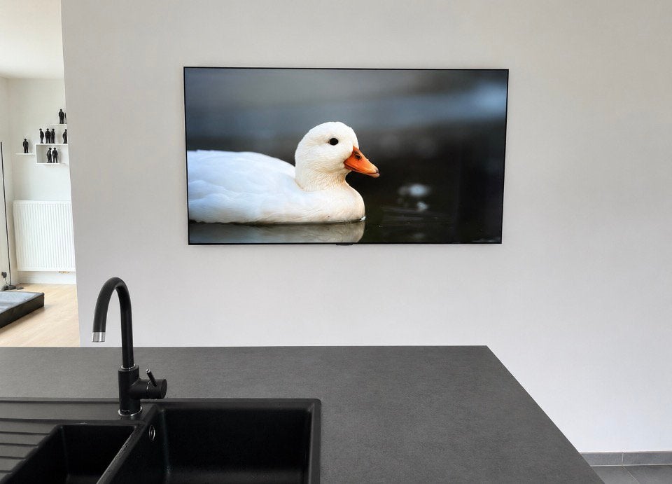 LG  galery 65 inch -4K OLED (  zo goed als nieuw ), Audio, Tv en Foto, Televisies, Ophalen, OLED, LG, Smart TV