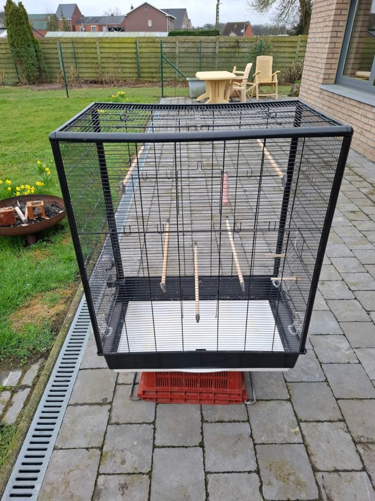 Grote vogelkooi, Dieren en Toebehoren, Vogels | Hokken en Kooien, Ophalen, Vogelkooi