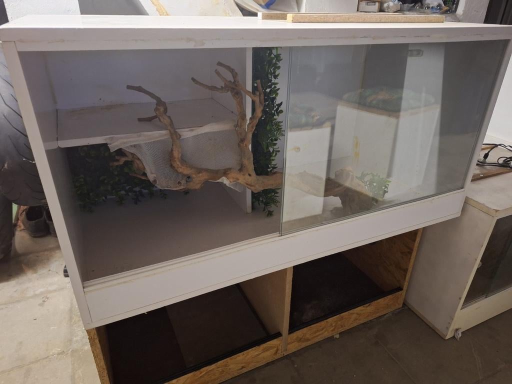 Verschillende Tararium's voor reptielen, Ophalen