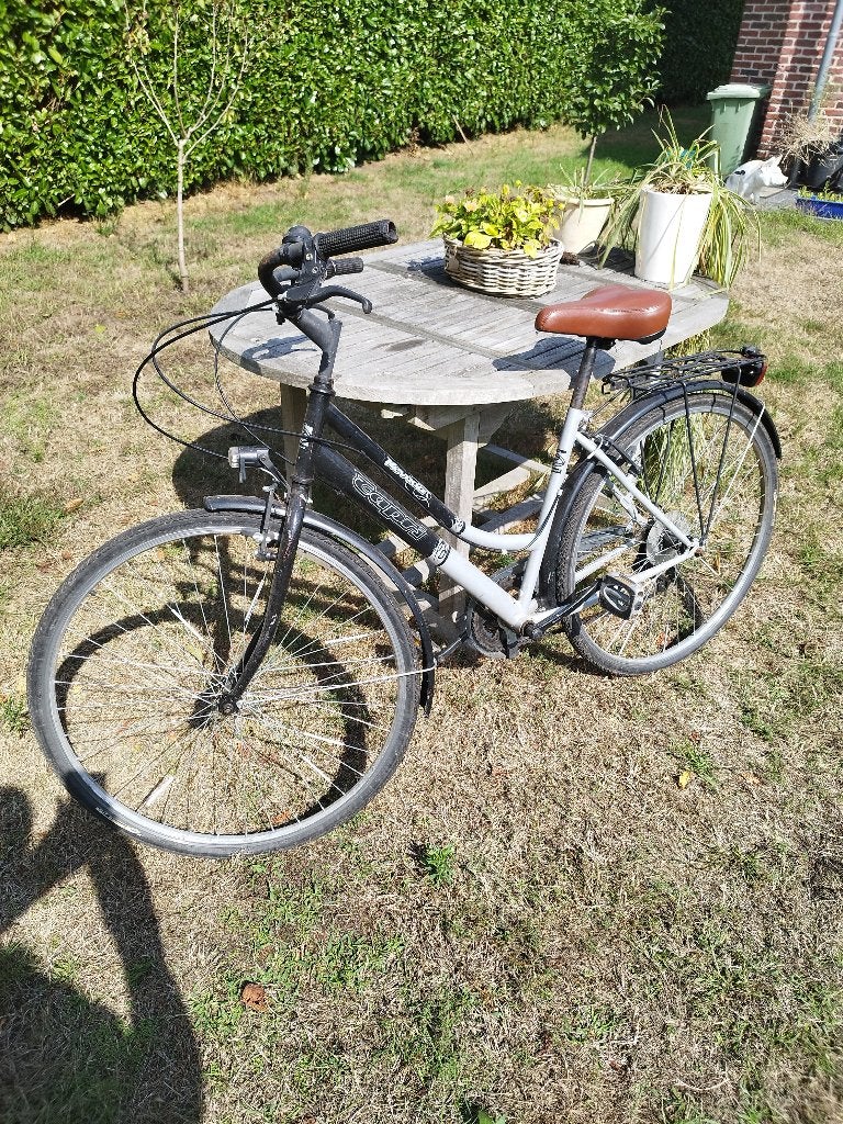 Damesfiets, Ophalen, Gebruikt, Velgrem, Versnellingen