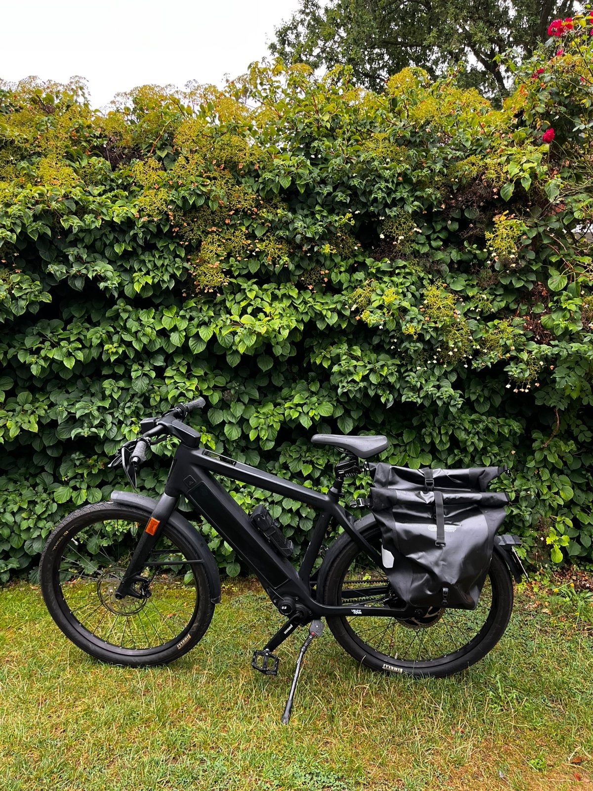 Stromer ST3 Pinion maat L, Fietsen en Brommers, Ophalen, Zo goed als nieuw, Stromer